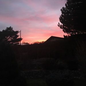 Meet your Posher, Siena (me) 🌹